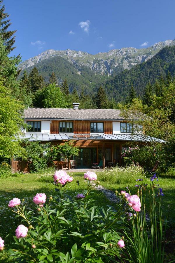 Petra Maria Soelle - Ferienhaus Sehr Privat Presseggersee Buitenkant foto